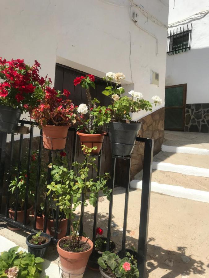 Casa Amigos Sorvilan- La Palmera Exteriör bild