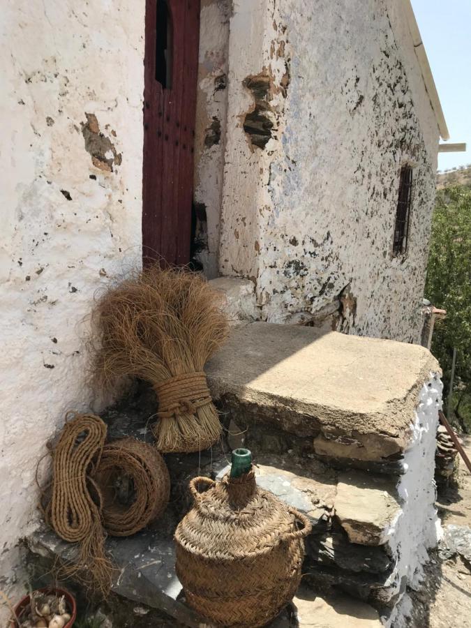 Casa Amigos Sorvilan- La Palmera Exteriör bild