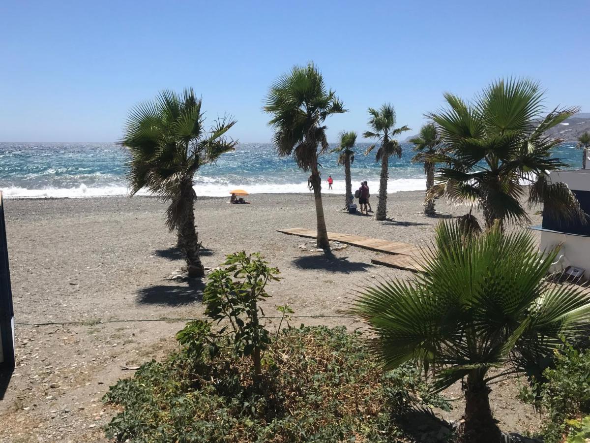 Casa Amigos Sorvilan- La Palmera Exteriör bild