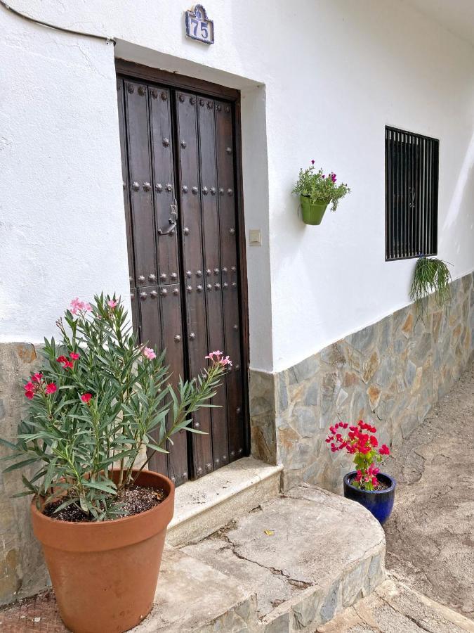 Casa Amigos Sorvilan- La Palmera Exteriör bild