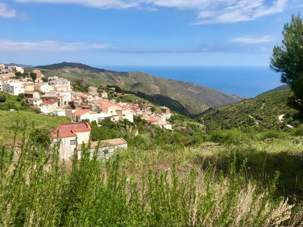 Casa Amigos Sorvilan- La Palmera Exteriör bild