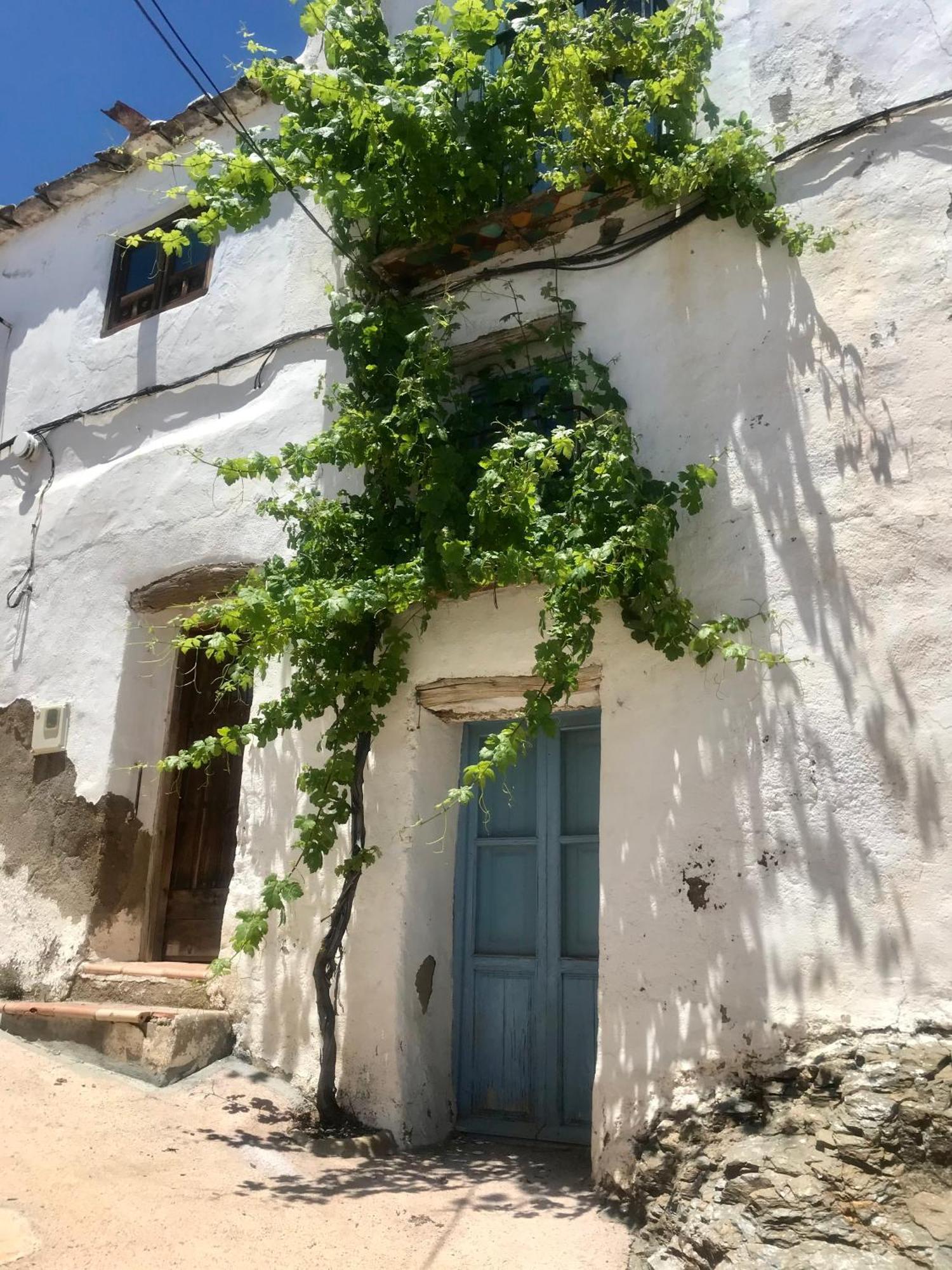 Casa Amigos Sorvilan- La Palmera Exteriör bild