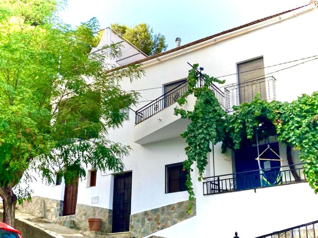 Casa Amigos Sorvilan- La Palmera Exteriör bild